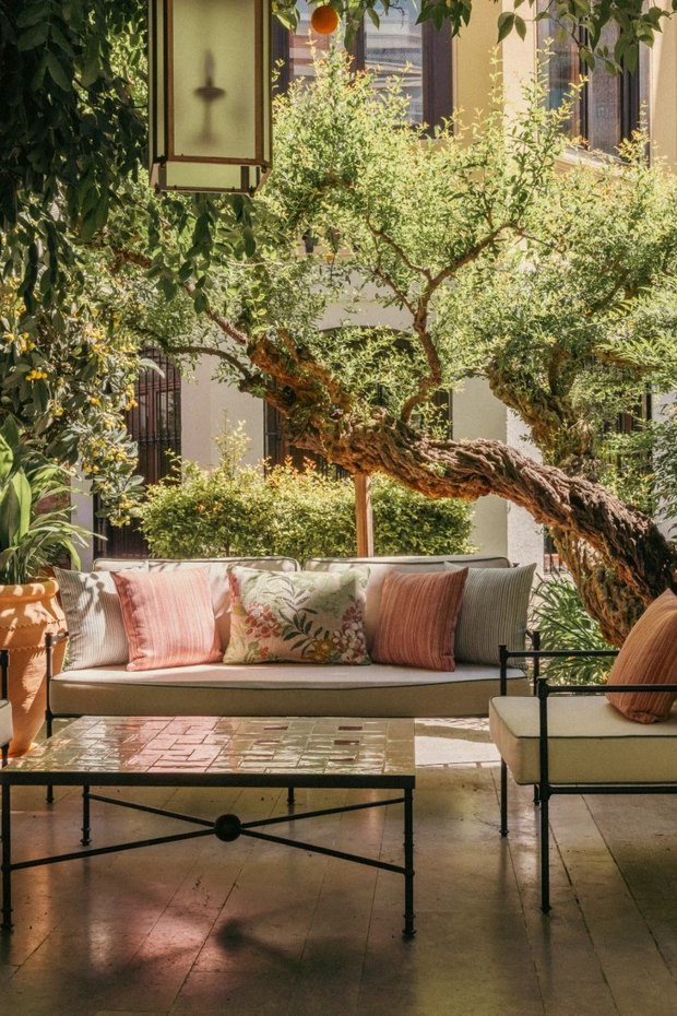 A shaded garden terrace with a twisting old tree over a sofa of striped cushions, a tiled table and an orange tree in a terracotta pot.